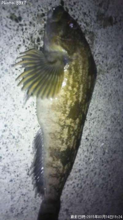 �����ʥ�