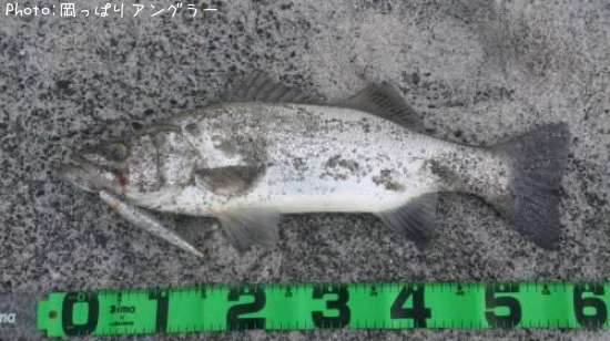 �ҥ饹����