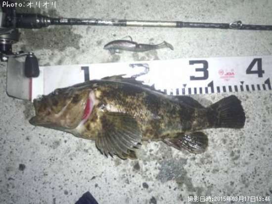 �٥å�������