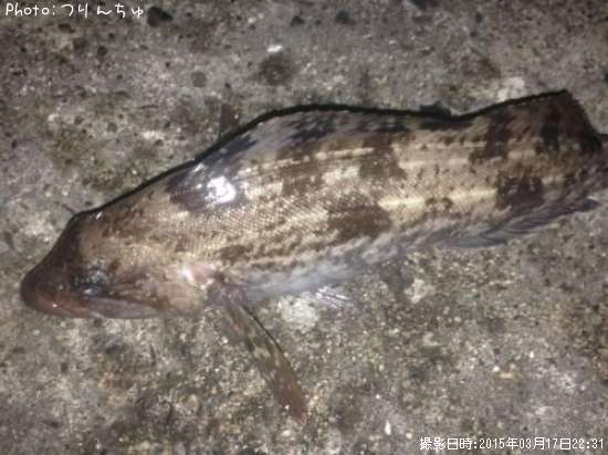 �����ʥ�