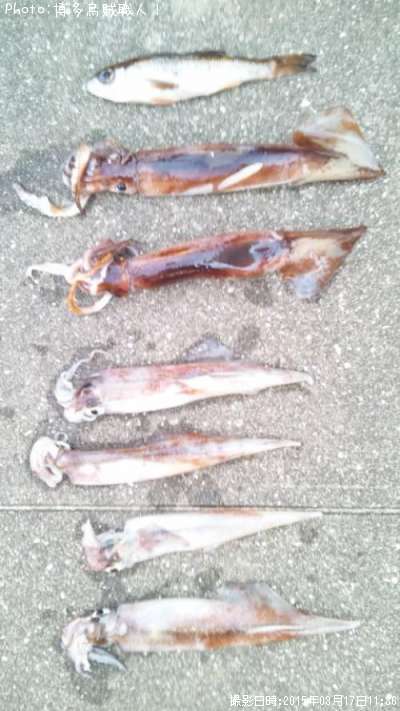 ����ᥤ��