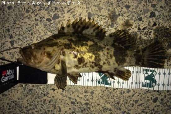 �����Υ���Х�