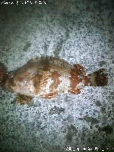 �������Х�