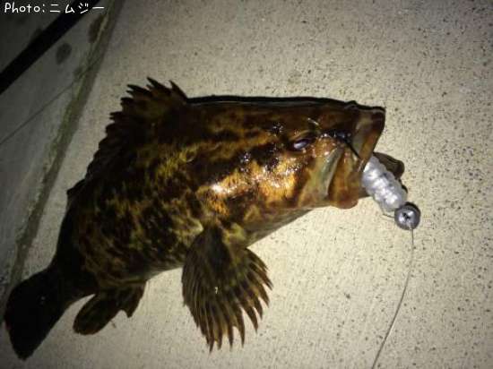 �٥å�������