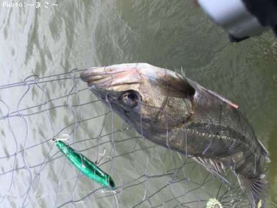 �����Х�