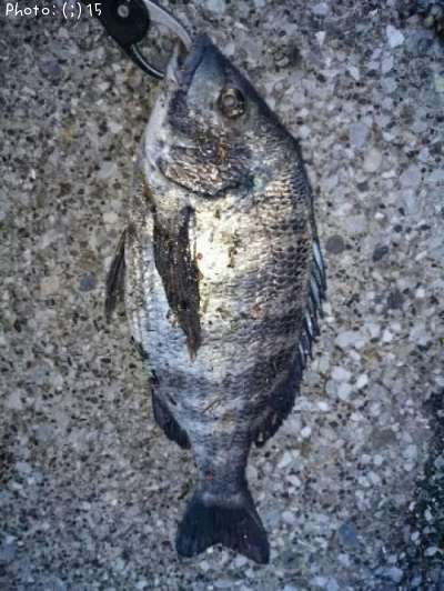 ���������������Х�