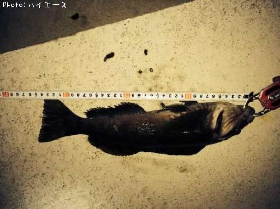 �����ʥ�