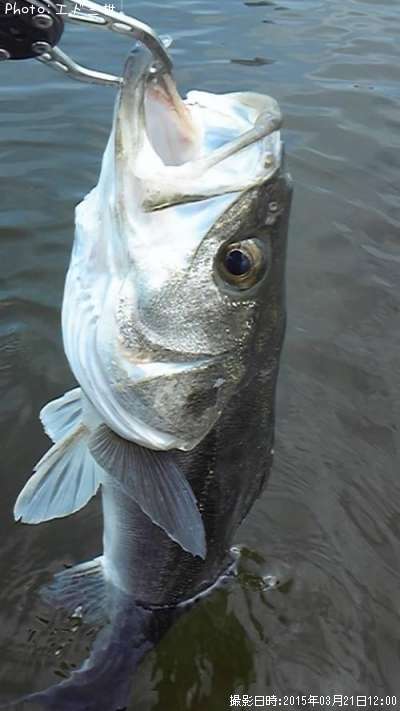 �����Х�