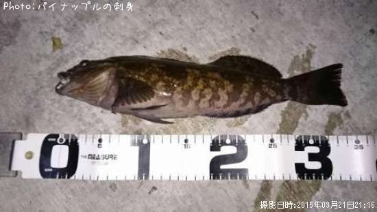 �����ʥ�