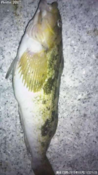 �����ʥ�