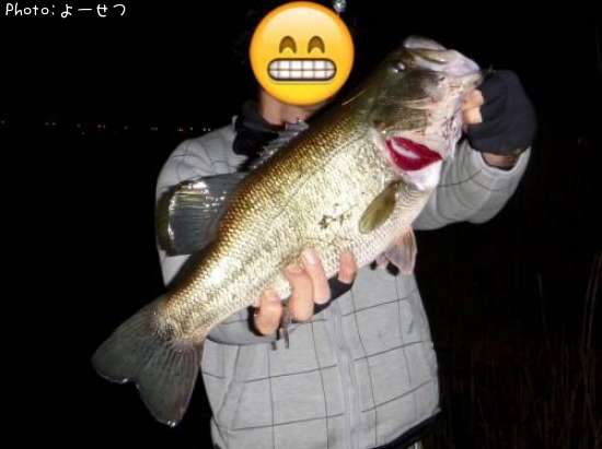 �֥�å��Х�