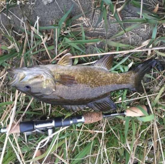 �֥�å��Х�