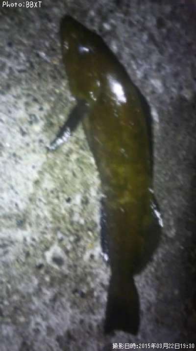 �����ʥ�