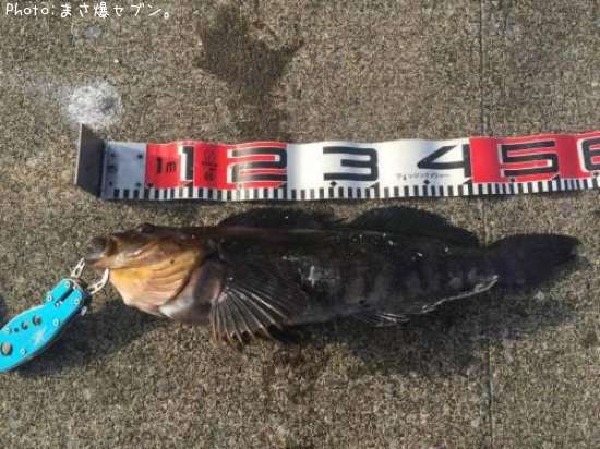 �����ʥ�