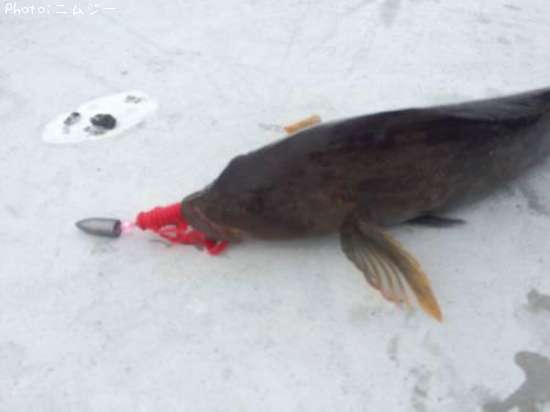 �����ʥ�