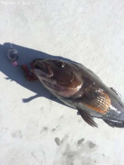 �����ʥ�