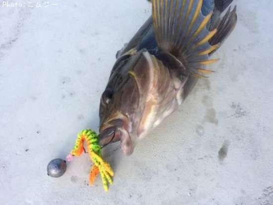 �����ʥ�