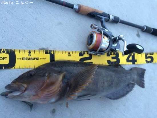 �����ʥ�