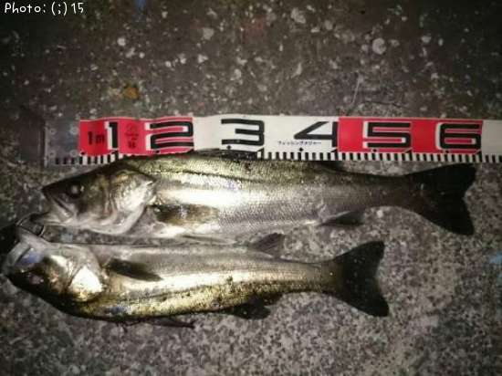 �����Х�