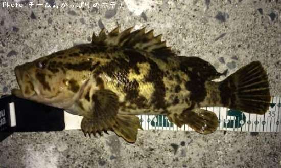 �����Υ���Х�