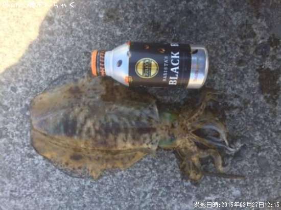 �����ꥤ��