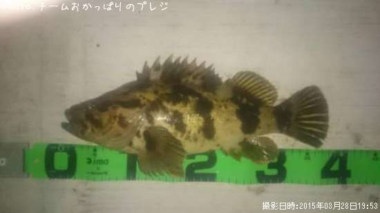 �����Υ���Х�