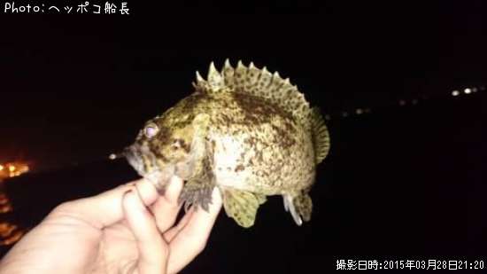 �����Υ���Х�