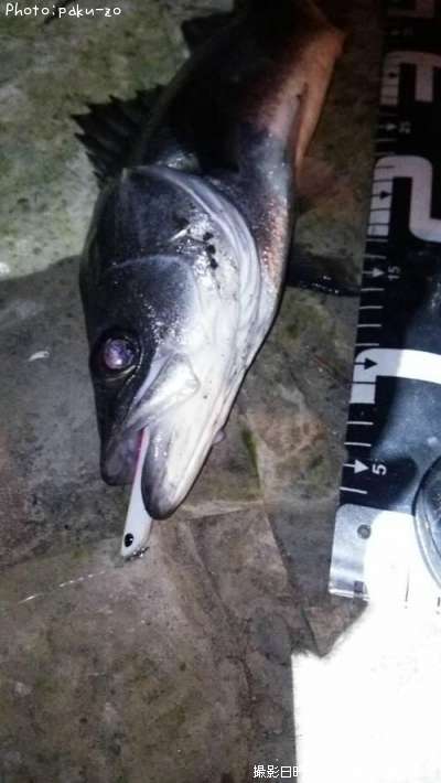 �����Х�