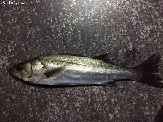 �����Х�