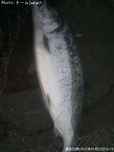 ������ޥ�