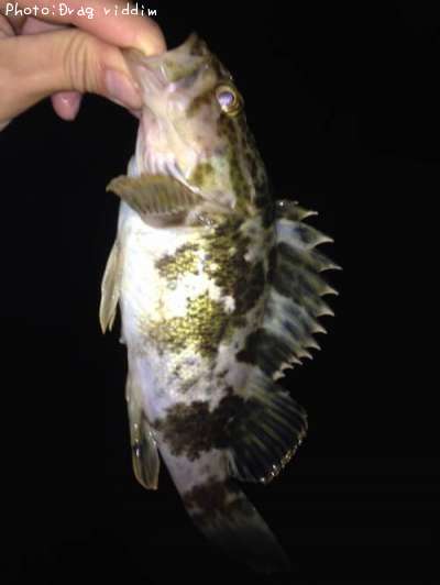 �����Υ���Х�