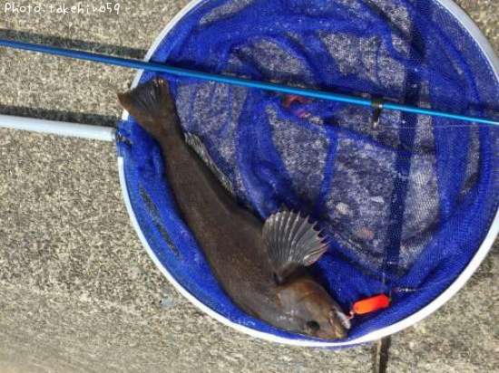 �����ʥ�