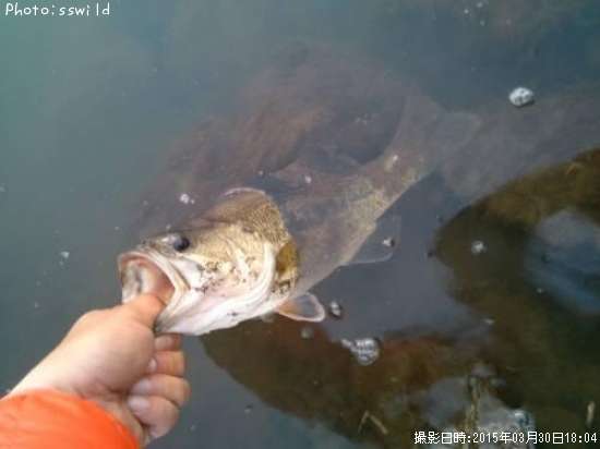 �֥�å��Х�