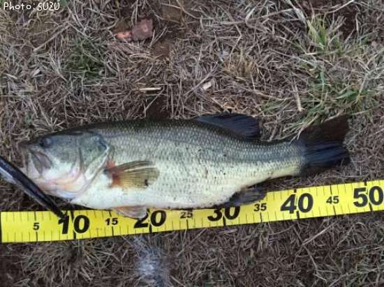 �֥�å��Х�