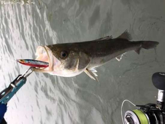 �����Х�