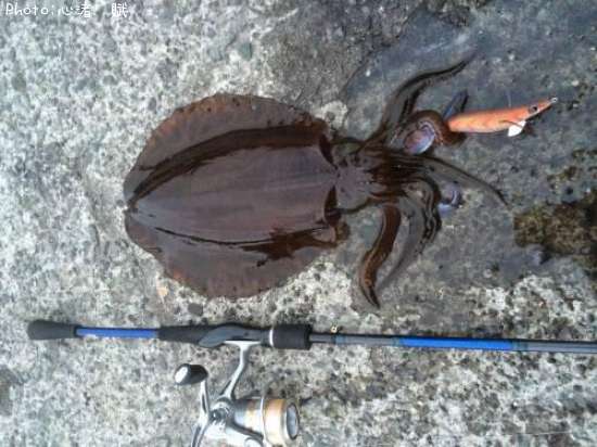 �����ꥤ��