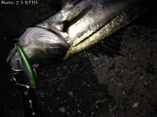 �����Х�