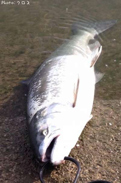 ������ޥ�