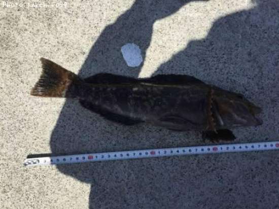 �����ʥ�