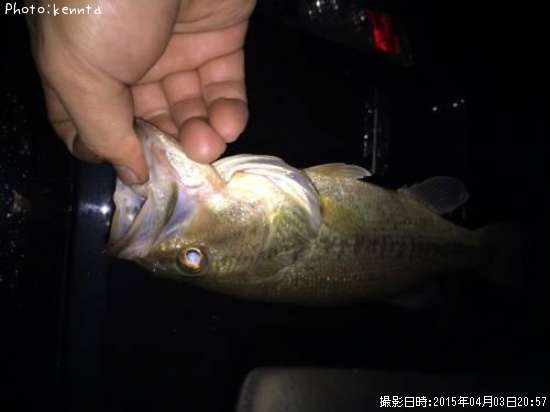 �֥�å��Х�