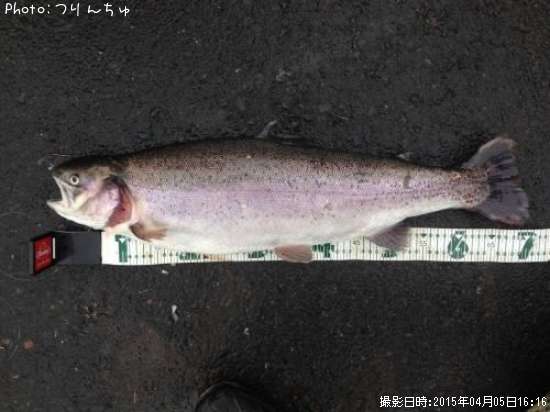 �쥤��ܡ��ȥ饦��