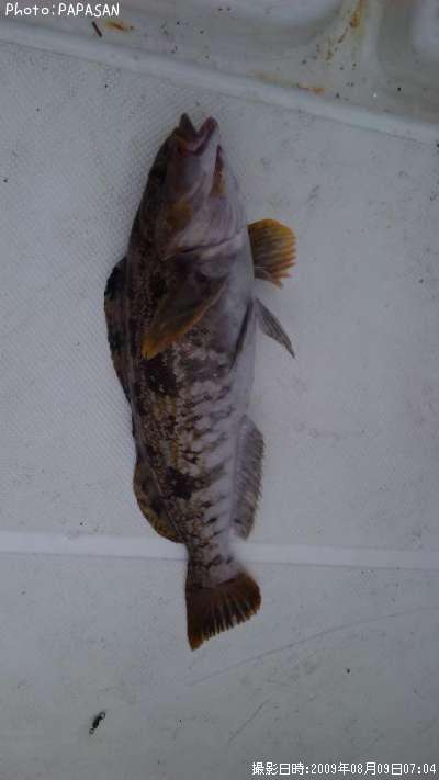 �����ʥ�