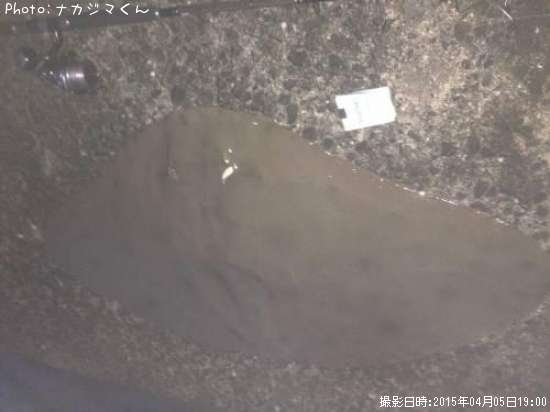 �ĥХ�������