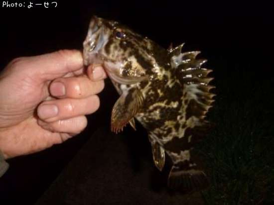 �����Υ���Х�