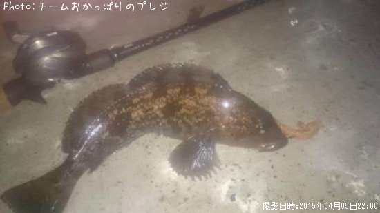 �����ʥ�