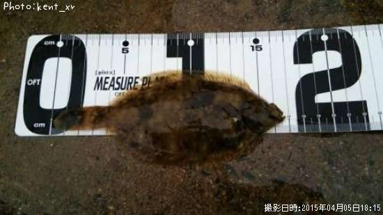 �ޥ����쥤