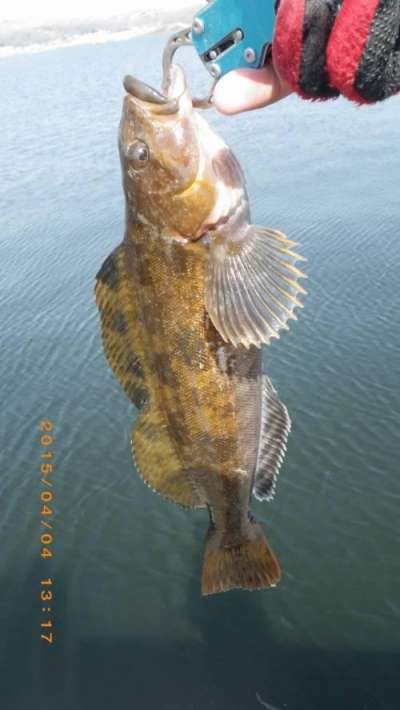 �����ʥ�