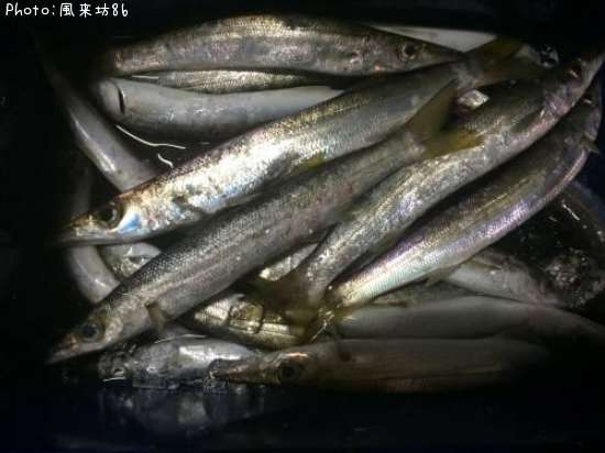 �������ޥ�