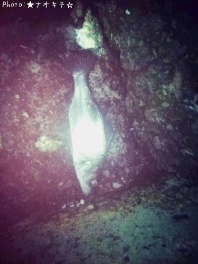 �ҥ饹����