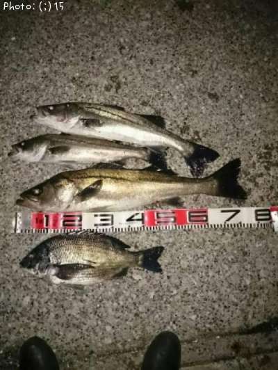 �����Х��ȥ�������